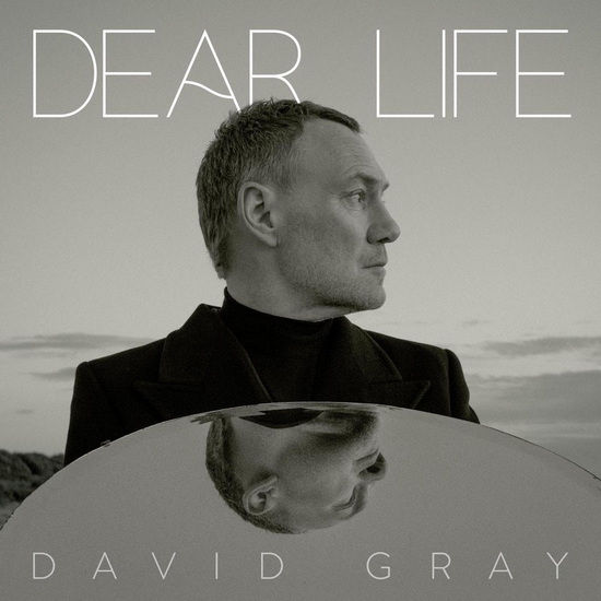 Dear Life (Vinyle) - DAVID GRAY