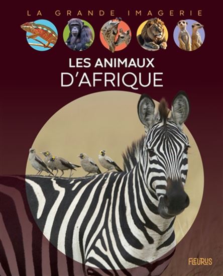 Les Animaux d&#39;Afrique - SABINE BOCCADOR