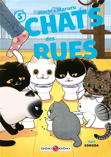 Hachi & Maruru : chats des rues #05 - YURI SONODA