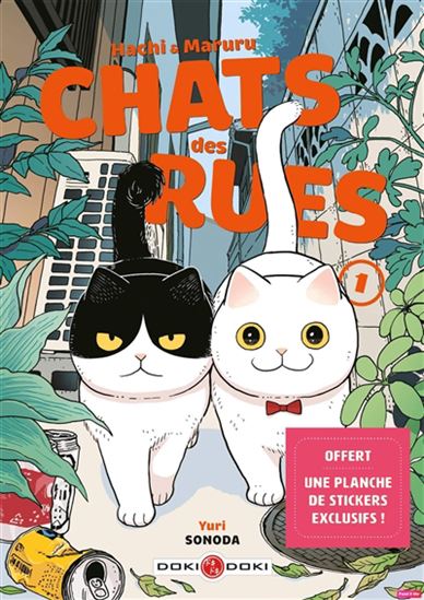 Hachi & Maruru : chats des rues #01 N. éd. + autocollants - YURI SONODA