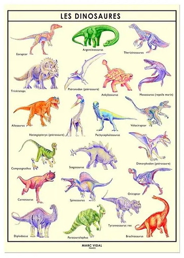Affiche dinosaures