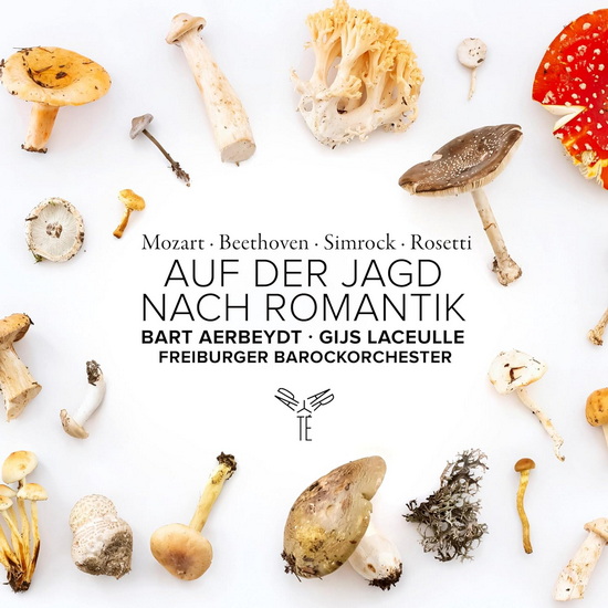 Auf Der Jagd Nach Romantik - MOZART - BEETHOVEN - SIMROCK
