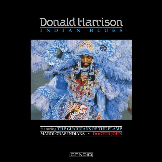 Indian Blues (2 Vinyles) - DONALD JR. HARRISON