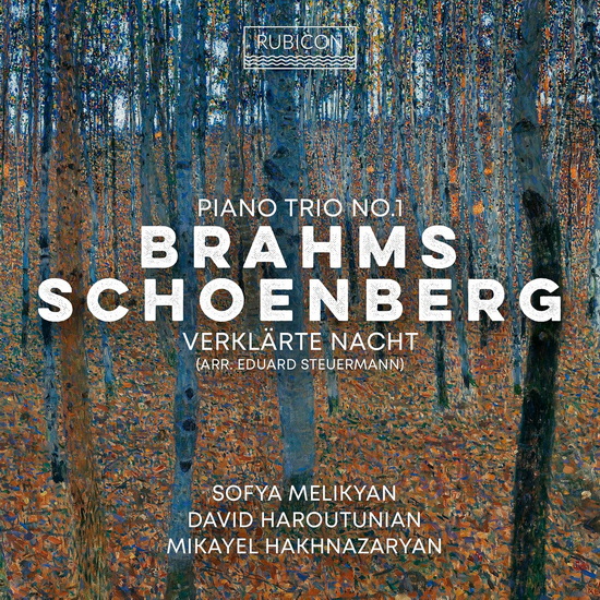 Brahms: Piano Trio No.1 - Schoenberg: Verklarte Nacht - BRAHMS - SCHOENBERG