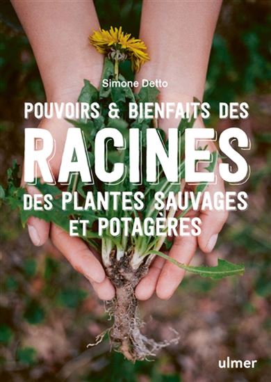 Pouvoirs & bienfaits des racines des plantes sauvages et potagères : infusions, fumigations, pommades, recettes gourmandes - SIMONE DETTO