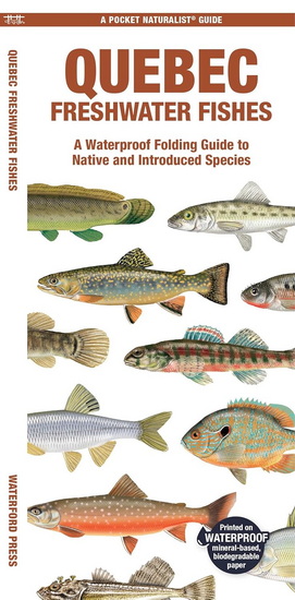 Quebec Freshwater Fishes: A Waterproof Folding Guide to Native and Introduced Species - JILL KAVANAGH - MATTHEW MORRIS