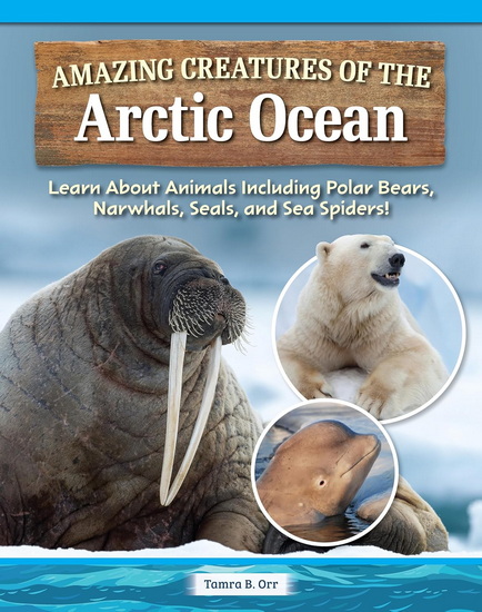 Life in the Arctic Ocean - TAMRA B ORR