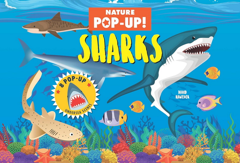 Nature Pop-Up! Sharks - DAVID HAWCOCK