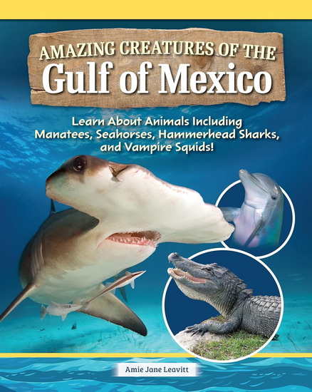 Life in the Gulf of Mexico - AMIE JANE LEAVITT