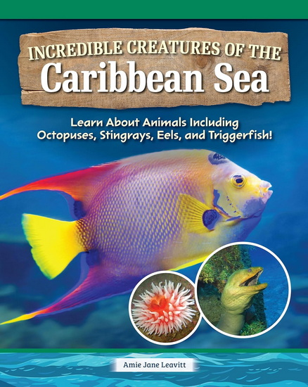 Life in the Caribbean Sea - AMIE JANE LEAVITT