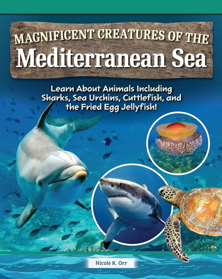 Life in the Mediterranean Sea - NICOLE ORR