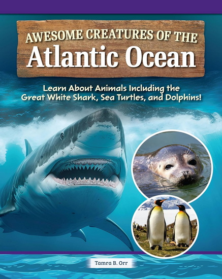 Life in the Atlantic Ocean - TAMRA B ORR