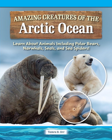 Life in the Arctic Ocean - TAMRA B ORR