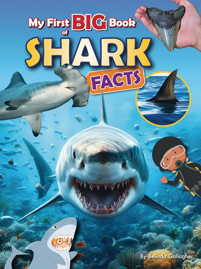 My First Big Book of Shark Facts - BELINDA GALLAGHER