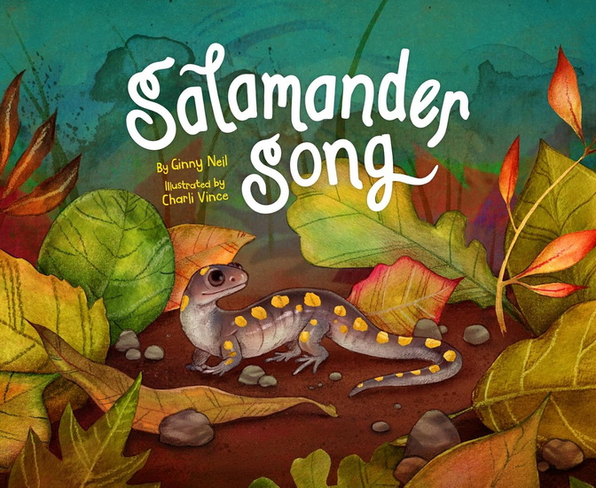 Salamander Song - GINNY NEIL - CHARLI VINCE