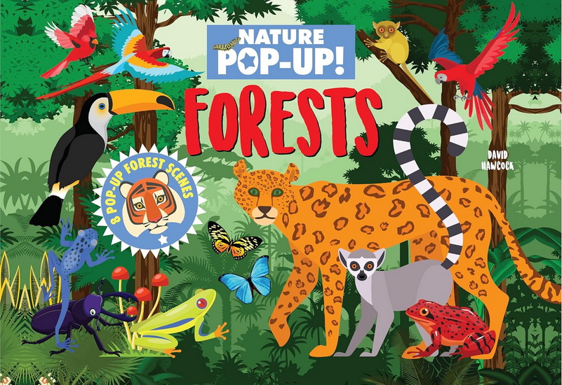 Nature Pop-Up! Forest - DAVID HAWCOCK