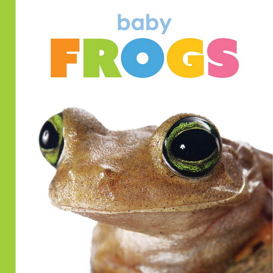 Baby Frogs - KIM THOMPSON
