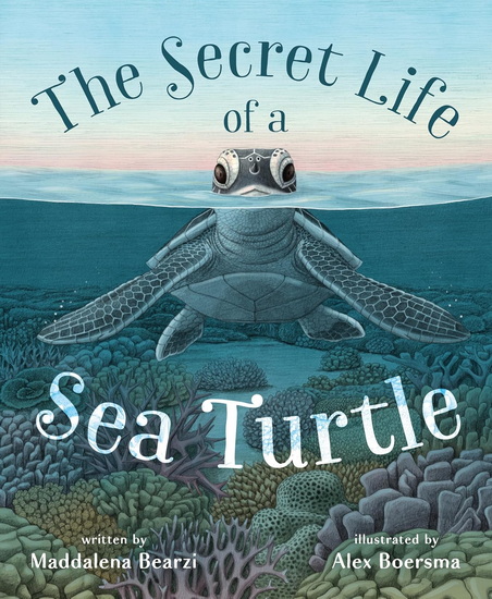The Secret Life of a Sea Turtle - MADDALENA BEARZI - ALEX BOERSMA