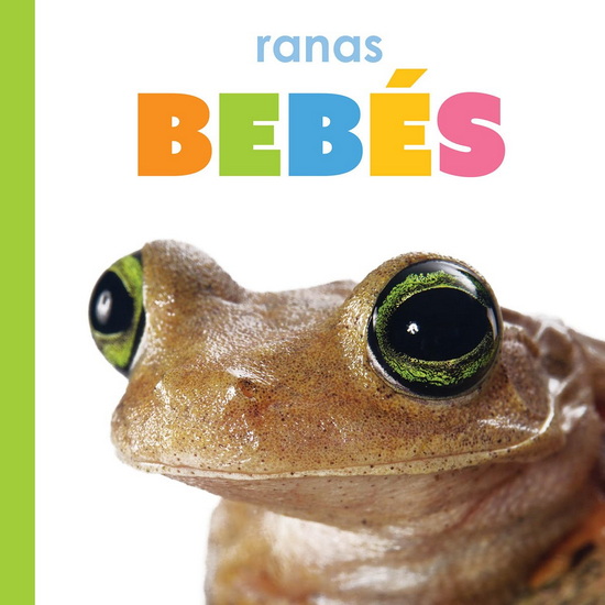 Ranas bebes - KIM THOMPSON