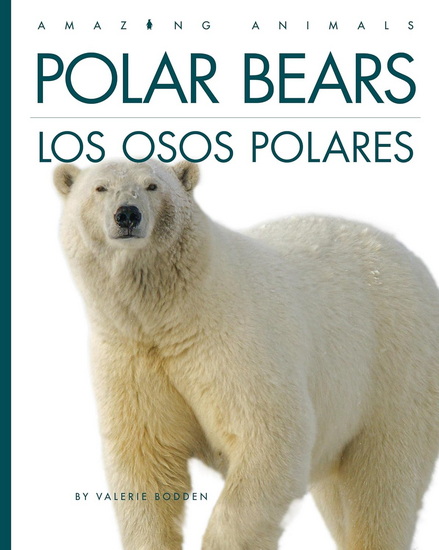 Polar Bears / Los osos polares - VALERIE BODDEN