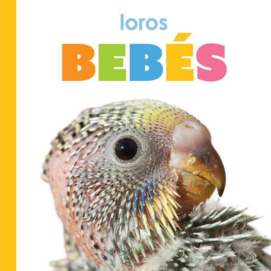 Loros bebes - KIM THOMPSON
