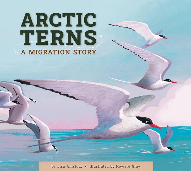 Arctic Terns: A Migration Story - LISA AMSTUTZ - HOWARD GRAY