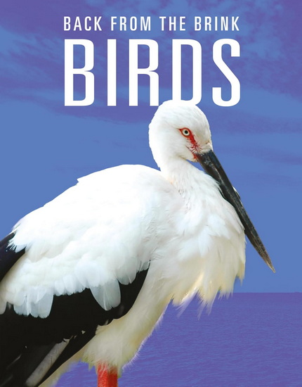Birds: Back from the Brink - JOANNE MATTERN