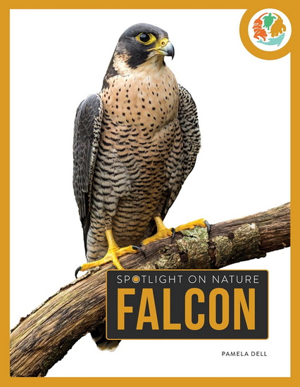 Falcon - PAMELA DELL
