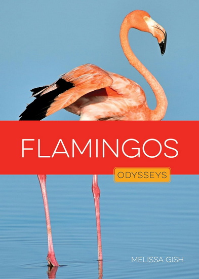 Flamingos - MELISSA GISH