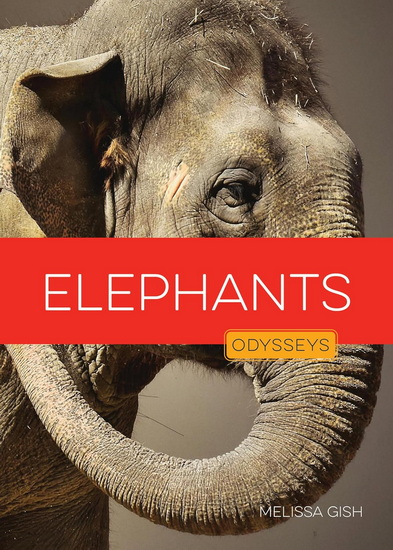 Elephants - MELISSA GISH