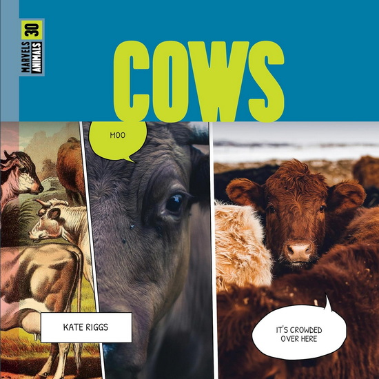 Cows - KATE RIGGS