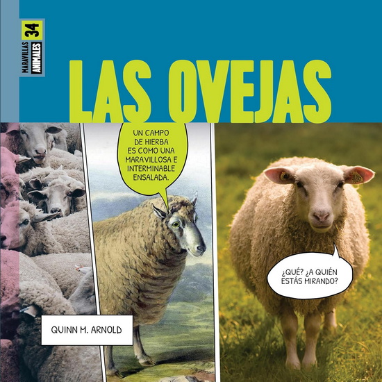 Las ovejas - QUINN M. ARNOLD