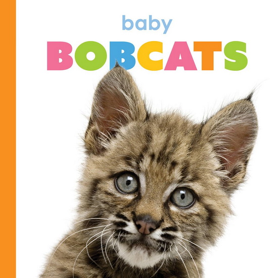 Baby Bobcats - KIM THOMPSON