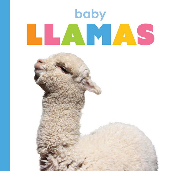 Baby Llamas - KIM THOMPSON