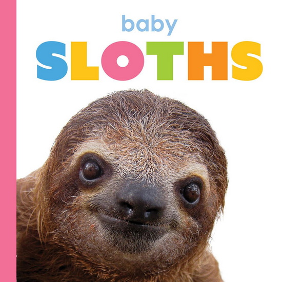 Baby Sloths - KIM THOMPSON