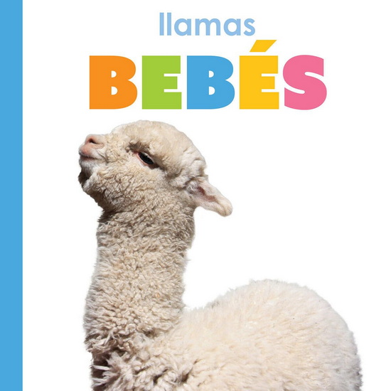 Llamas bebes - KIM THOMPSON