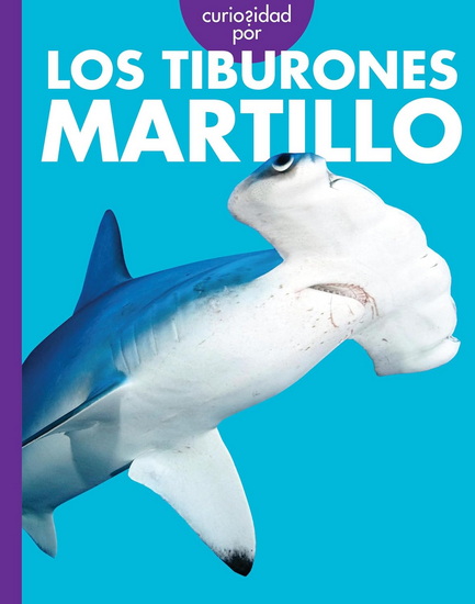 Curiosidad por los tiburones martillo - MONIKA DAVIES