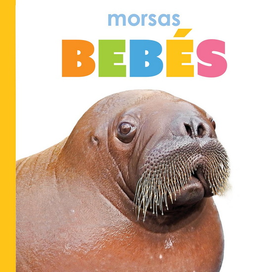 Morsas bebes - KIM THOMPSON