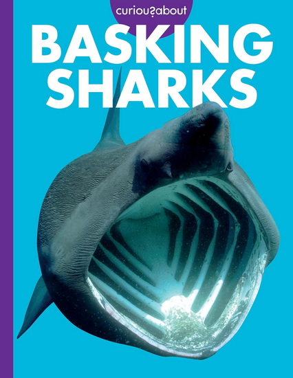 Curious about Basking Sharks - MONIKA DAVIES