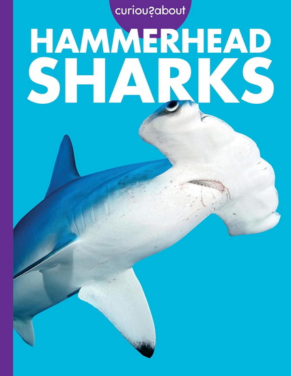 Curious about Hammerhead Sharks - MONIKA DAVIES