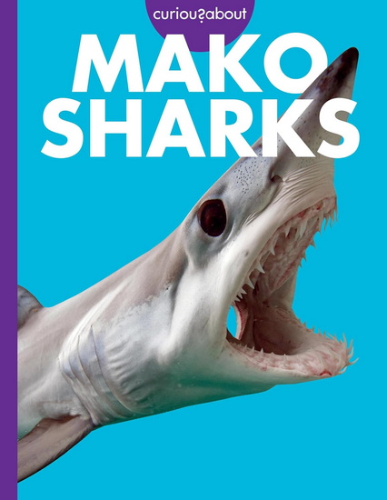Curious about Mako Sharks - DEBRA RANDORF