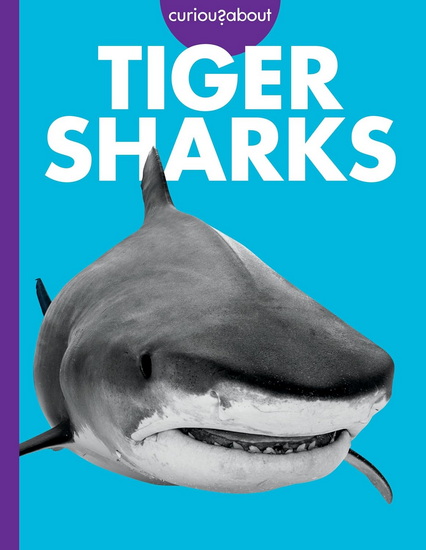 Curious about Tiger Sharks - DEBRA RANDORF