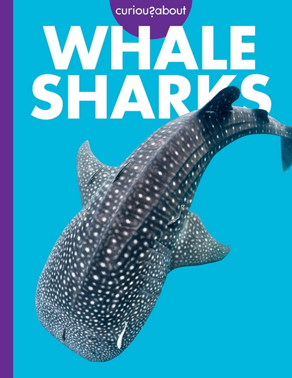 Curious about Whale Sharks - MONIKA DAVIES
