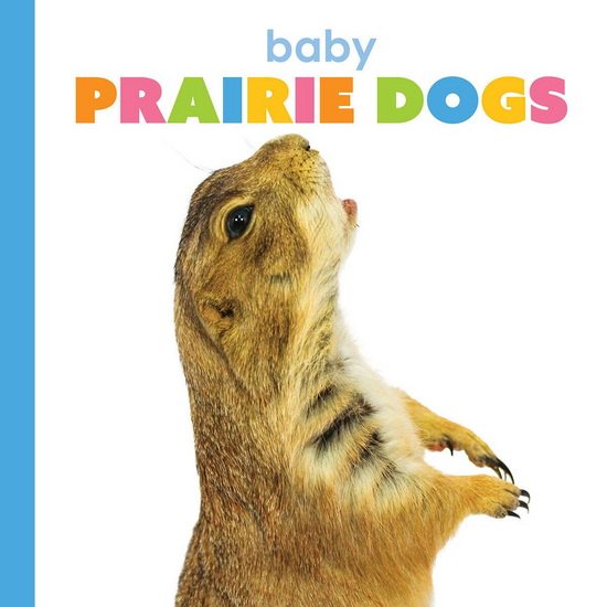Baby Prairie Dogs - KIM THOMPSON