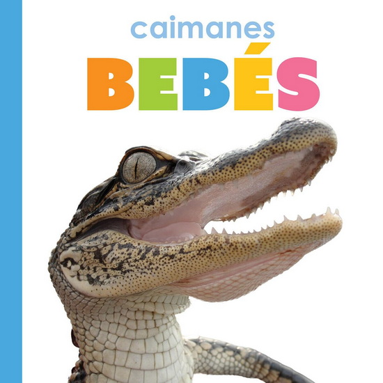 Caimanes bebes - KIM THOMPSON