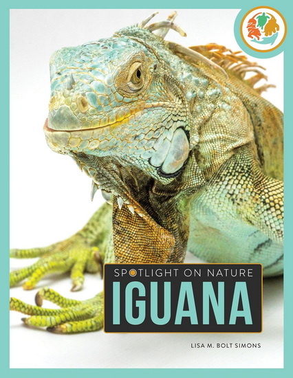 Iguana - LISA M. BOLT SIMONS