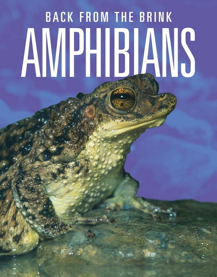 Amphibians: Back from the Brink - JOANNE MATTERN