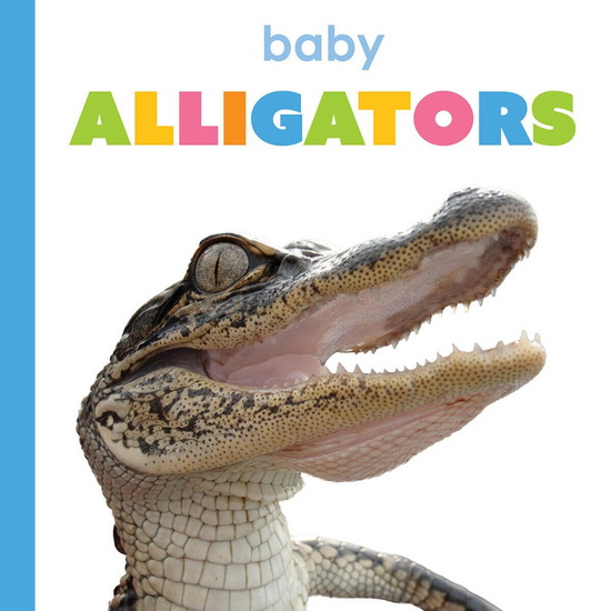 Baby Alligators - KIM THOMPSON