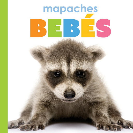Mapaches bebes - KIM THOMPSON