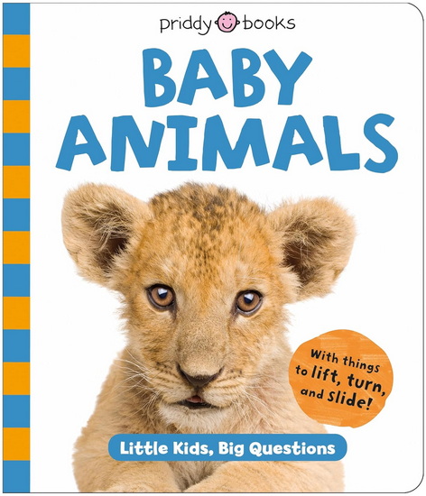 Baby Animals (Little Kids, Big Questions) - COLLECTIF